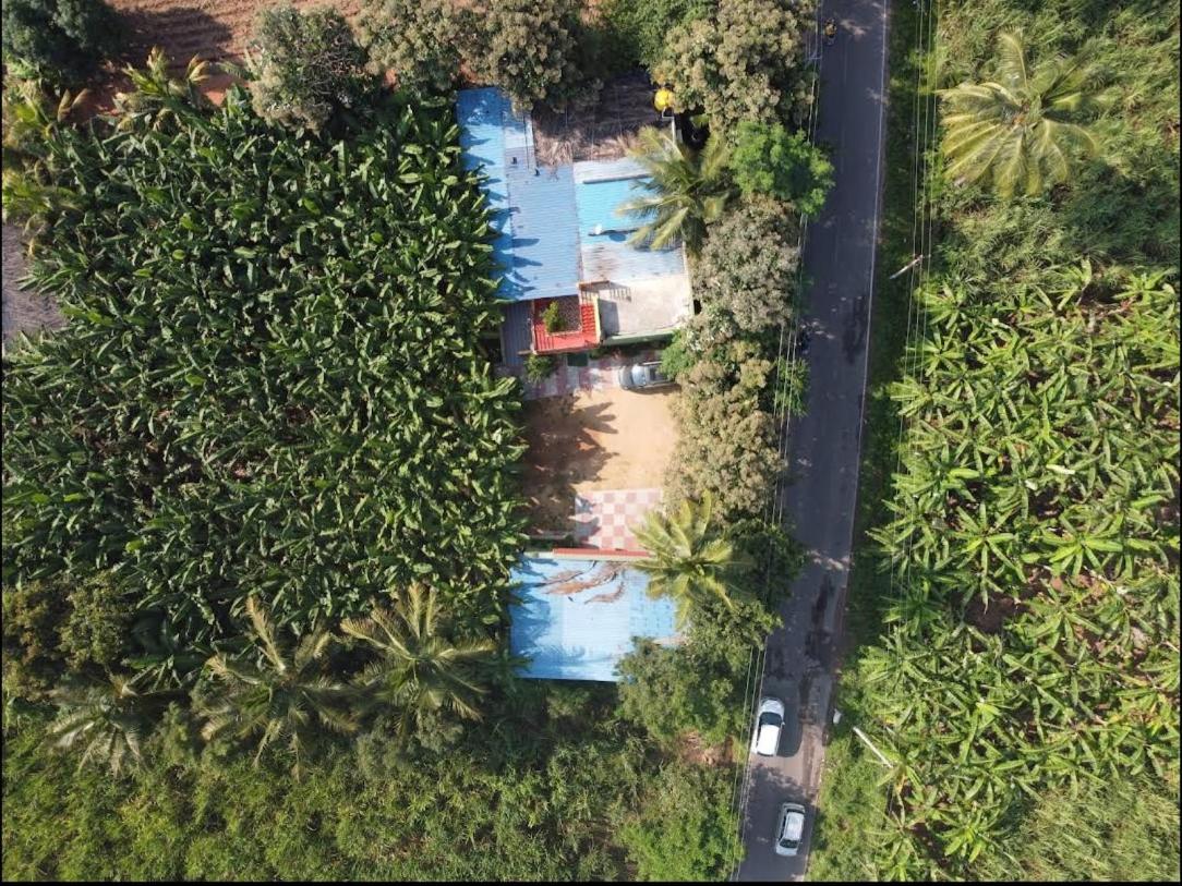 Banana Farm House Hampi Zewnętrze zdjęcie