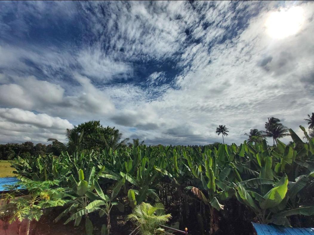 Banana Farm House Hampi Zewnętrze zdjęcie