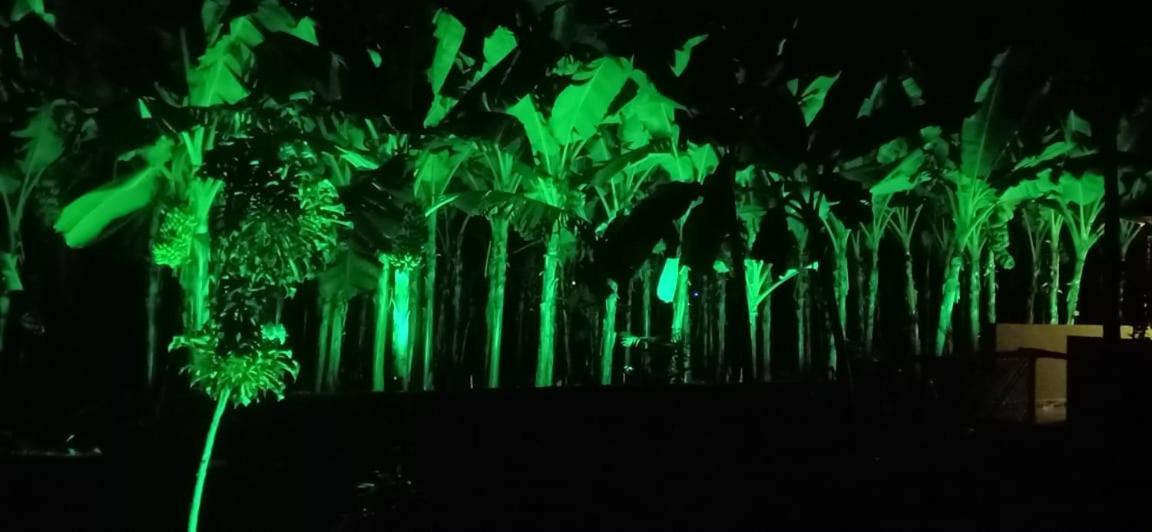 Banana Farm House Hampi Zewnętrze zdjęcie