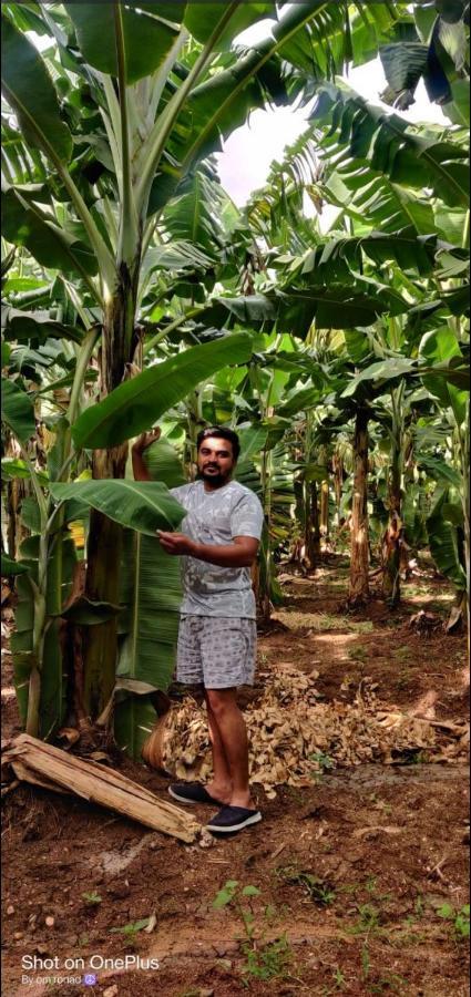 Banana Farm House Hampi Zewnętrze zdjęcie